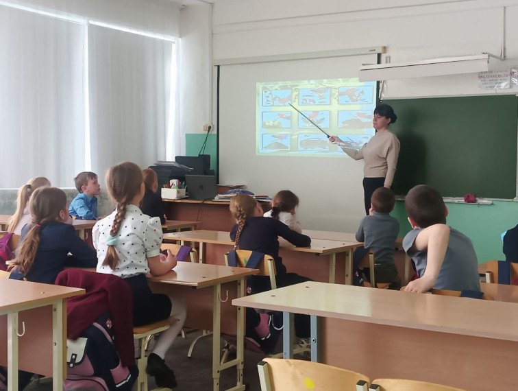 Всероссийский «День Эколят».
